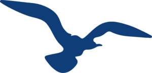 Copy of laisve